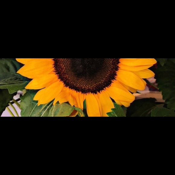 Meet your Posher, Tasmein - Picture 1 of 1